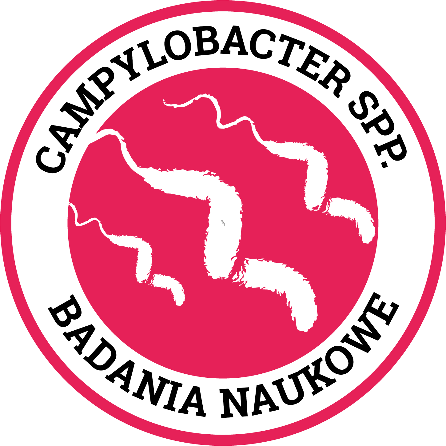 Campylobacter - badania naukowe